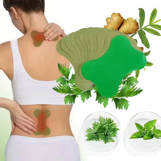 12x TheraPatch™ Back Pain Relief Patches TheraSpine™